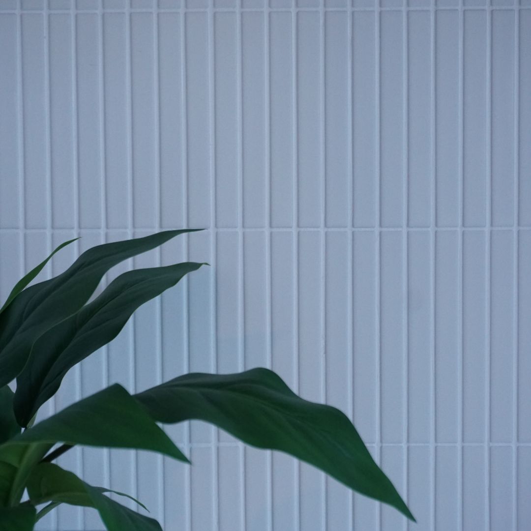 latitude sq 012