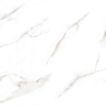 Calacatta Reale Matt 600x600