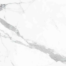 Evo Statuario Matt 600x600