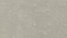 Regal Grey Matt 300x600