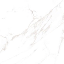 Venatino White Matt 600x600