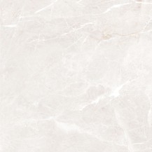 Adex Silver Matt 600x600