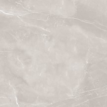 Armani Dove Grey Matt 600x600