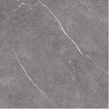 Cosmos Light Grey Matt 600x600