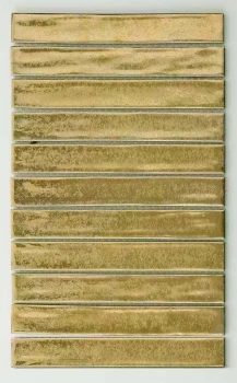 Deluxe Gold Gloss 202x329