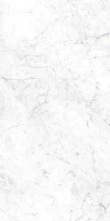 Euromarmo Carrara Venatino