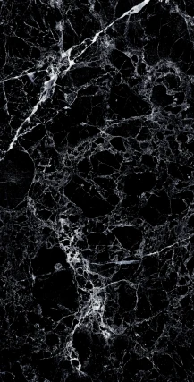 Nero Emperador Polished 600x1200