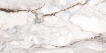 Pisa Gold Polished 600x1200