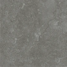Portland Select Graphite Matt 600x600