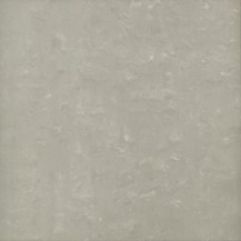 Regal Grey Matt 600x600