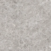 Silk Emperador Grey Matt 600x600