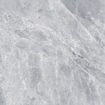 Tundra Mid Grey Polished 600x600